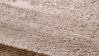 Asuri 300 X 400cm Plain Rug in Brown