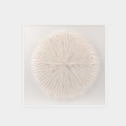 Abstract White Coral Wall Art 10