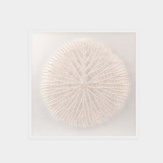 Abstract White Coral Wall Art 3