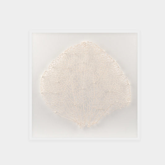 Abstract White Coral Wall Art 8