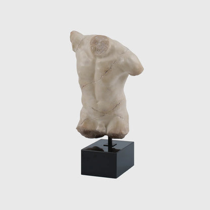 Decorative Marble Male Torso With Black Marble Stone Base