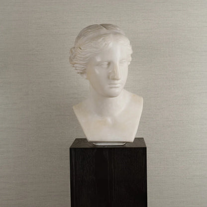 Decorative Marble Female Bust