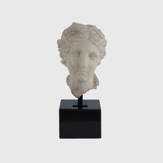 Decorative Female Marble Bust with Black Marble Base 1