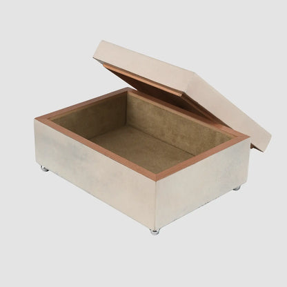 Vellum And Nickel Box